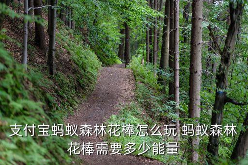 支付宝蚂蚁森林花棒怎么玩 蚂蚁森林花棒需要多少能量