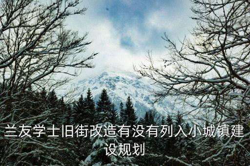 兰友学士旧街改造有没有列入小城镇建设规划