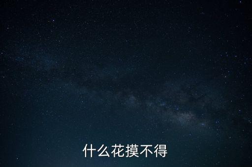 什么花摸不得