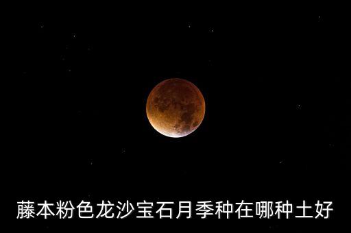 藤本粉色龙沙宝石月季种在哪种土好