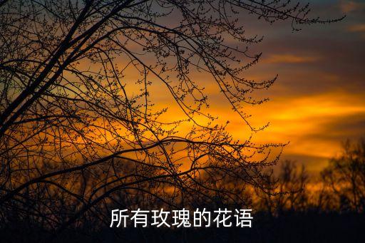 所有玫瑰的花语