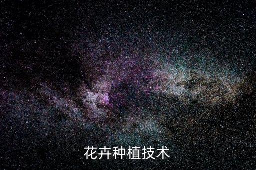 花卉种植技术