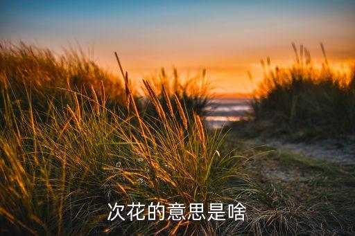 次花的意思是啥