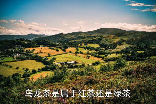 乌龙茶是属于红茶还是绿茶