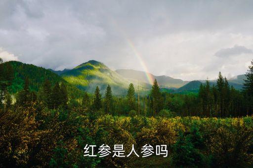 红参是人参吗，人参和红参是一样的吗有哪些功效