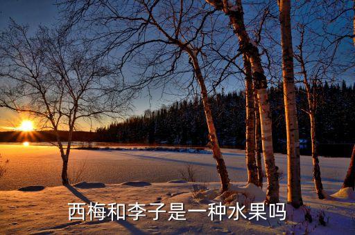 西梅是不是李子，西梅和李子是一种水果吗