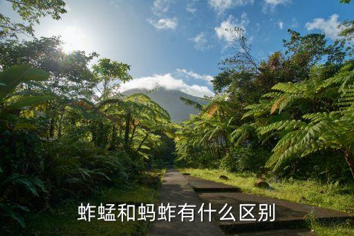 蚱蜢和蚂蚱有什么区别