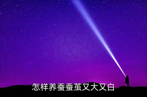 怎样养蚕蚕茧又大又白