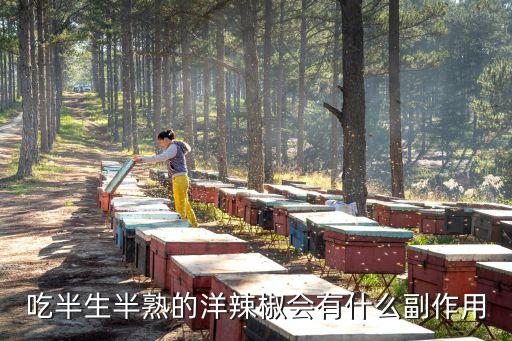 洋辣椒，吃半生半熟的洋辣椒会有什么副作用