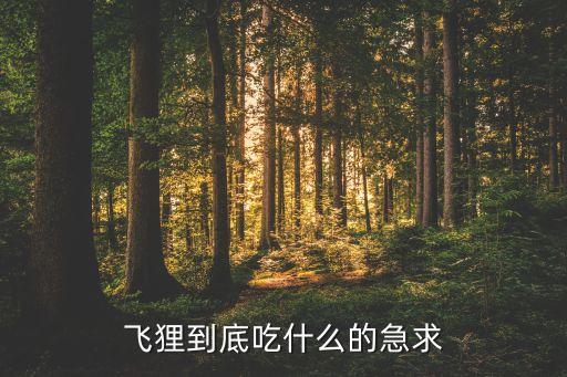 飞狸到底吃什么的急求