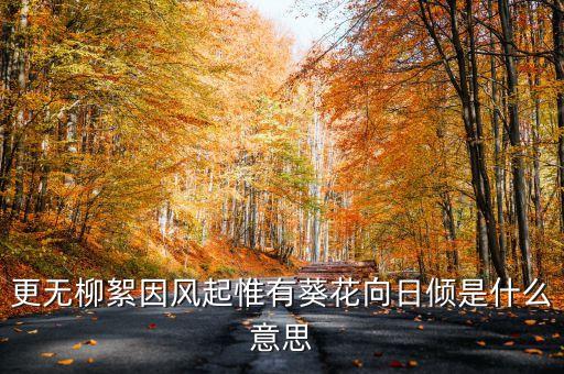 葵花向日，更无柳絮因风起 惟有葵花向日倾什么意思