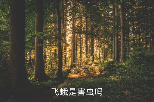飞蛾，飞蛾是害虫吗