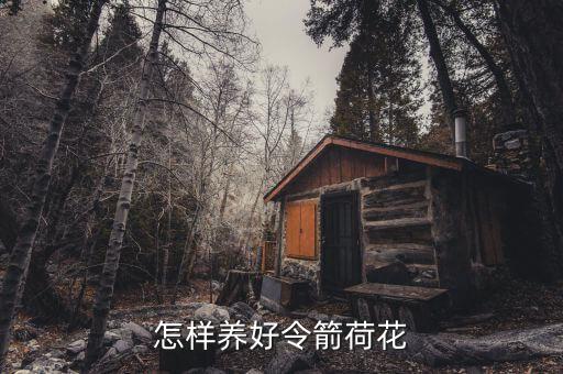 令箭荷花图片，令箭荷花花期多长