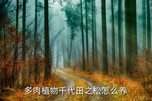 多肉植物千代田之松怎么养