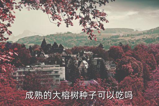 榕树果实能吃吗，榕树的果可以吃吗