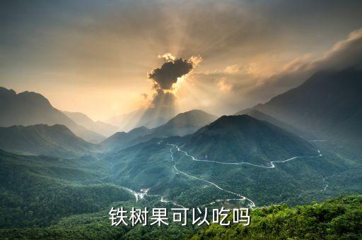 铁树果可以吃吗