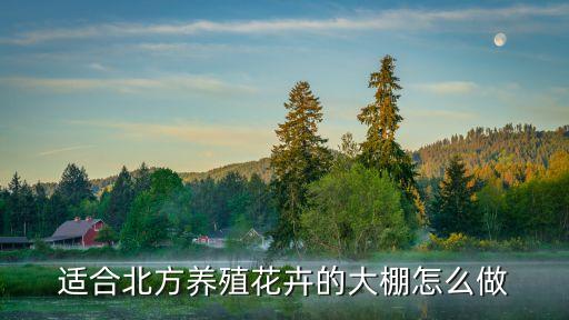 花卉大棚，适合北方养殖花卉的大棚怎么做