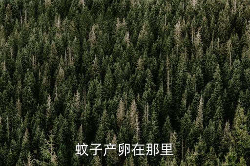 蚊子产卵在那里