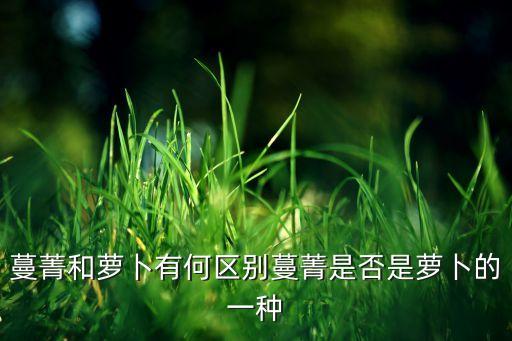 蔓菁和萝卜有何区别蔓菁是否是萝卜的一种