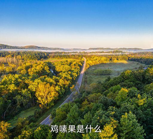 鸡头果，鸡嗉果是什么