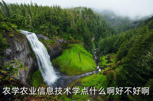 农学农业信息技术学点什么啊好不好啊