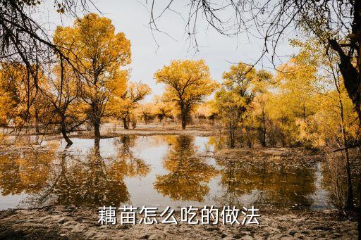 藕苗，凉拌藕苗怎么做
