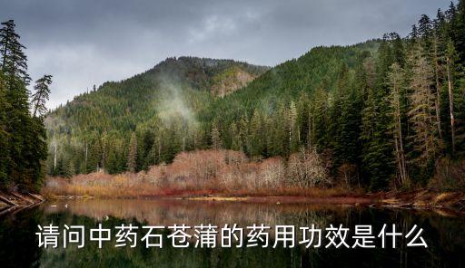 石菖蒲功效，请问中药石苍蒲的药用功效是什么