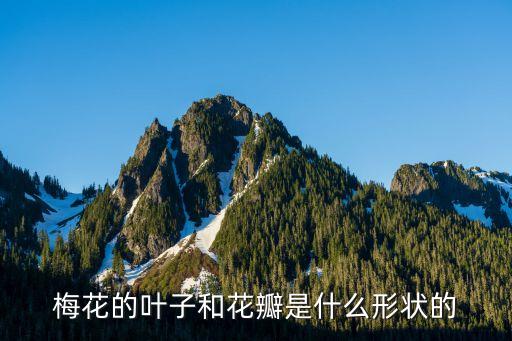 梅花叶子图片，梅花树叶的形状及图