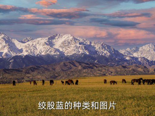绞股蓝的种类和图片