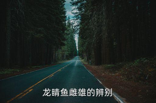 龙睛，龙睛鱼雌雄的辨别