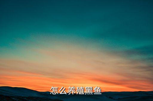 怎么养殖黑鱼