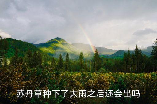 苏丹草种下了大雨之后还会出吗