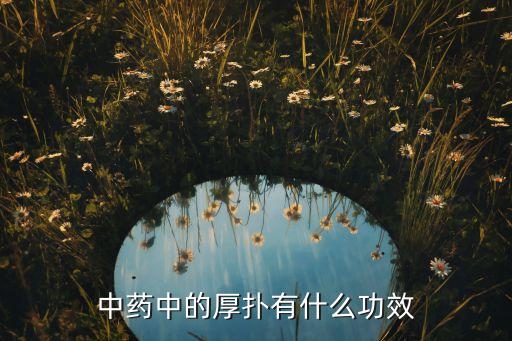 厚朴的功效与作用，中药中的厚扑有什么功效