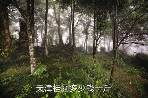 天津桂圆多少钱一斤