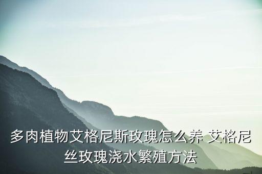 多肉植物艾格尼斯玫瑰怎么养 艾格尼丝玫瑰浇水繁殖方法