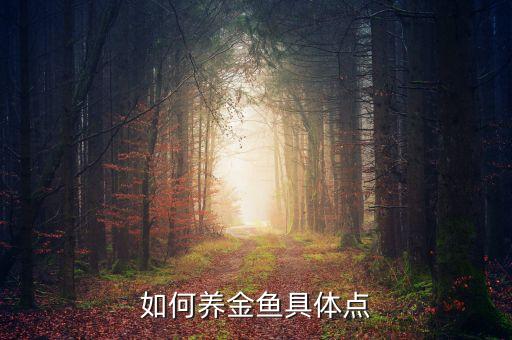 怎样养金鱼，怎么样养金鱼
