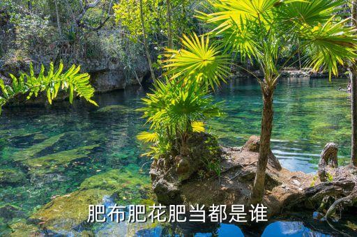 肥布肥花肥当都是谁