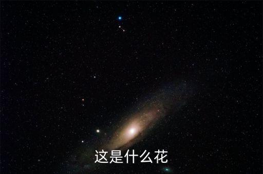 虎皮百合，虎皮百合花花瓣能吃吗