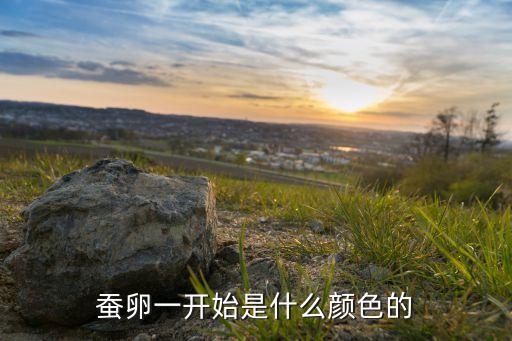 蚕卵一开始是什么颜色的