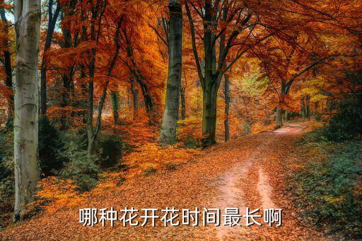 地金莲，旱地金莲花期多长