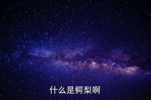 什么是鳄梨啊