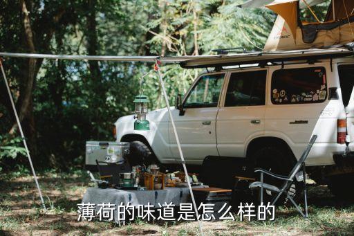 薄荷的味道是怎么样的