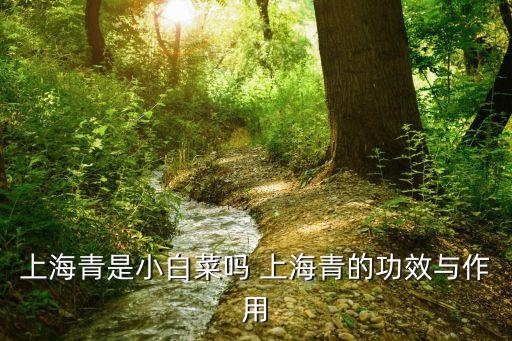 苏州青，苏州到青岛坐动车要多少时间票要多少钱