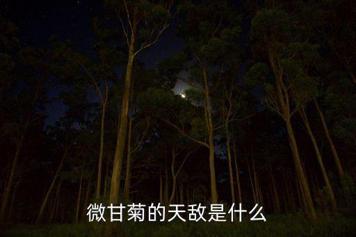 薇甘菊，你在那里可以知道薇甘菊是有毒