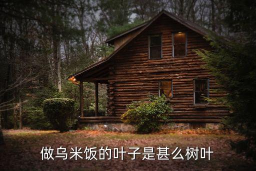 乌米叶，乌稔叶在哪里生长