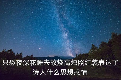 只恐夜深花睡去故烧高烛照红装表达了诗人什么思想感情
