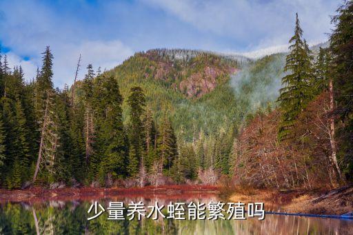 水蛭繁殖，少量养水蛭能繁殖吗