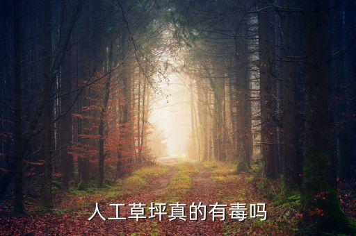 人工草坪真的有毒吗