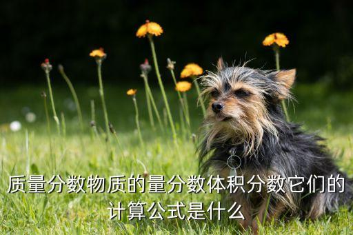 农业的质量分数怎么算，计算质量分数的公式