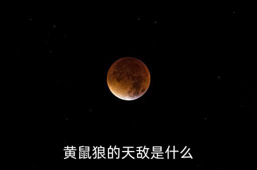 黄鼠狼天敌，黄鼠狼的天敌